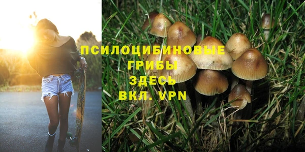 метадон Аркадак