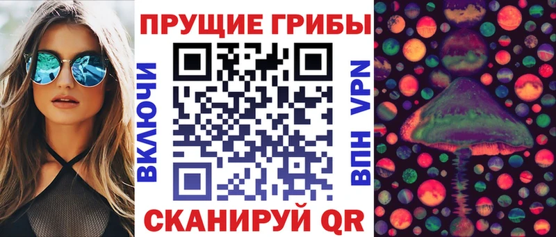 купить наркоту  Солнечногорск  Псилоцибиновые грибы мицелий 