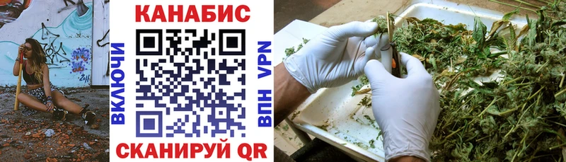 Конопля OG Kush Солнечногорск